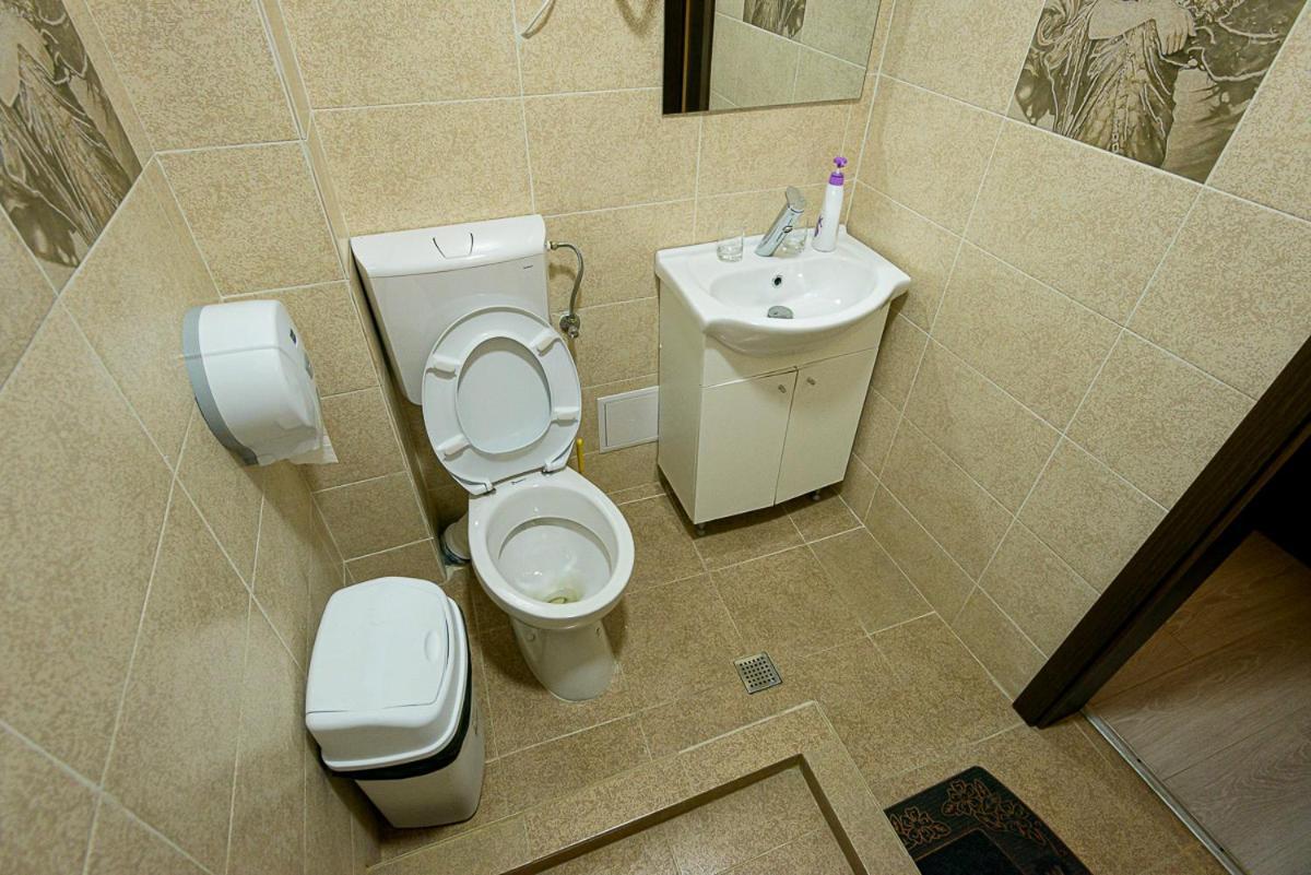 Casa Domneasca Riana Hotel Piteşti Buitenkant foto