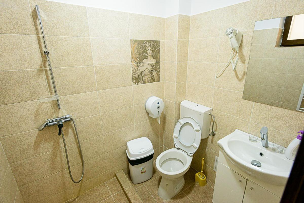 Casa Domneasca Riana Hotel Piteşti Buitenkant foto